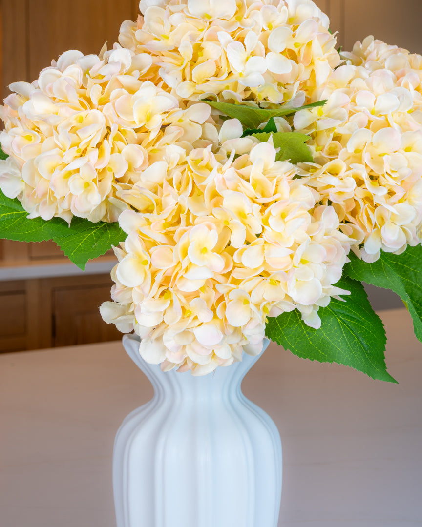 Hydrangea - Apricot