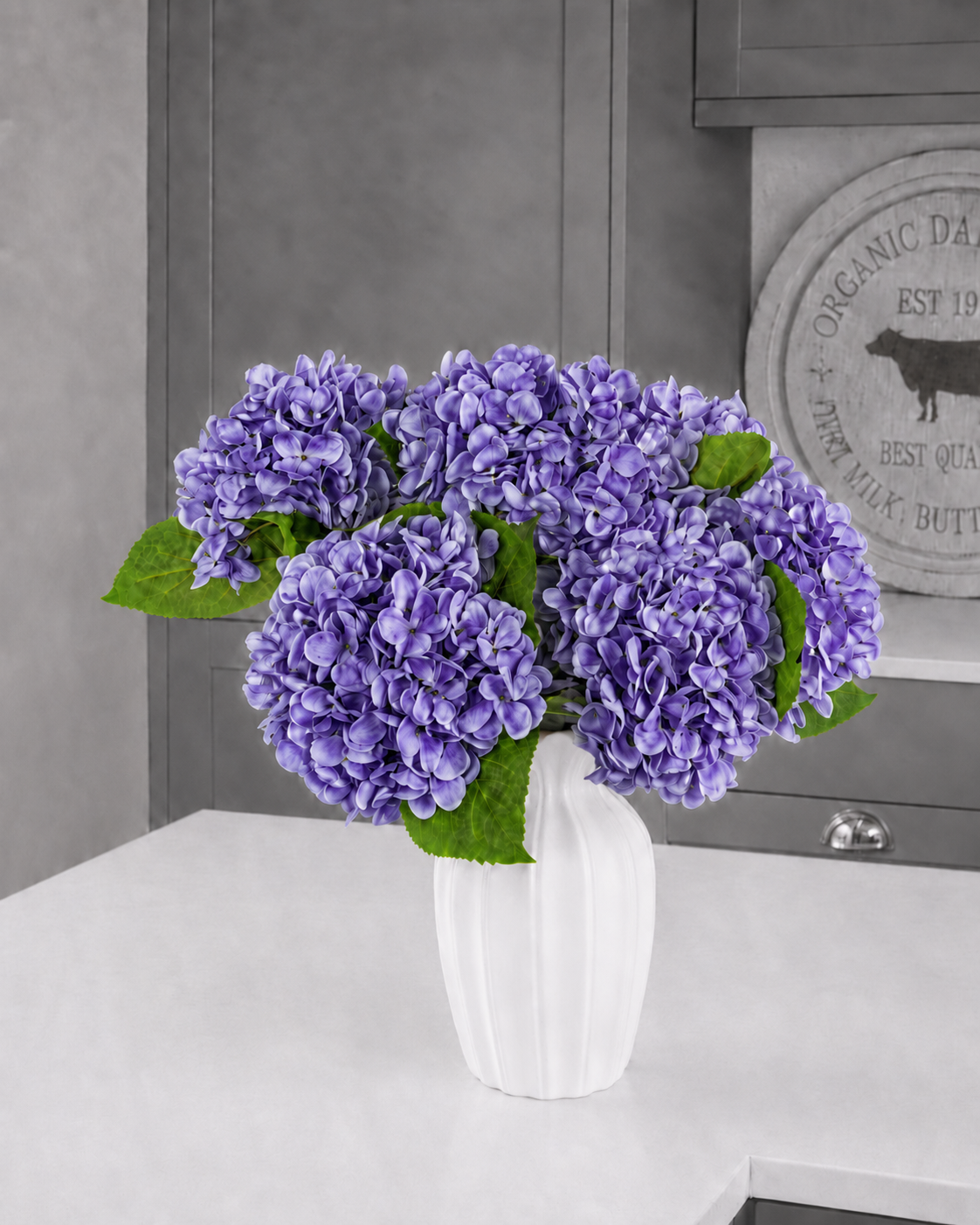 Hydrangea - Lavender