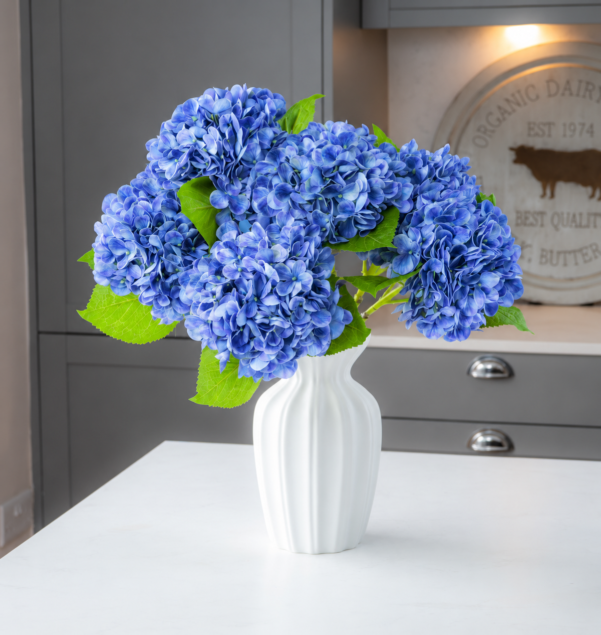 Hydrangea - Cornflower Blue
