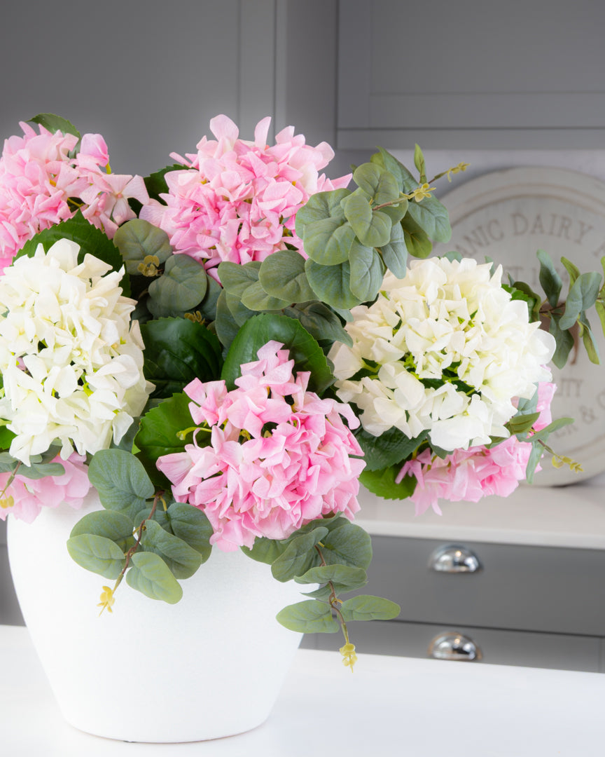 Hydrangea Collection