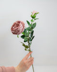 Load image into Gallery viewer, Mauve English Rose Stem
