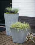 Load image into Gallery viewer, Buckingham Squat Planter Grey
