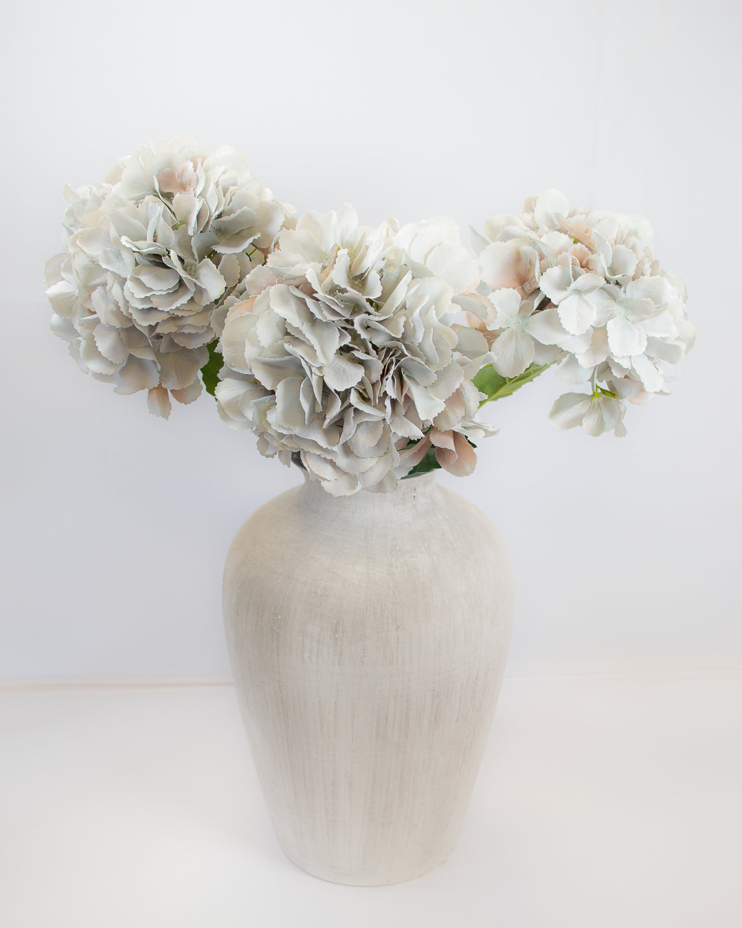 Grey Hydrangea Stem