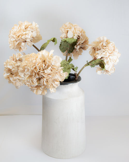 Dried Touch Cream Hydrangea