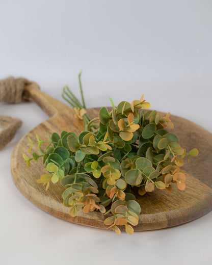 Short Eucalyptus Bunch
