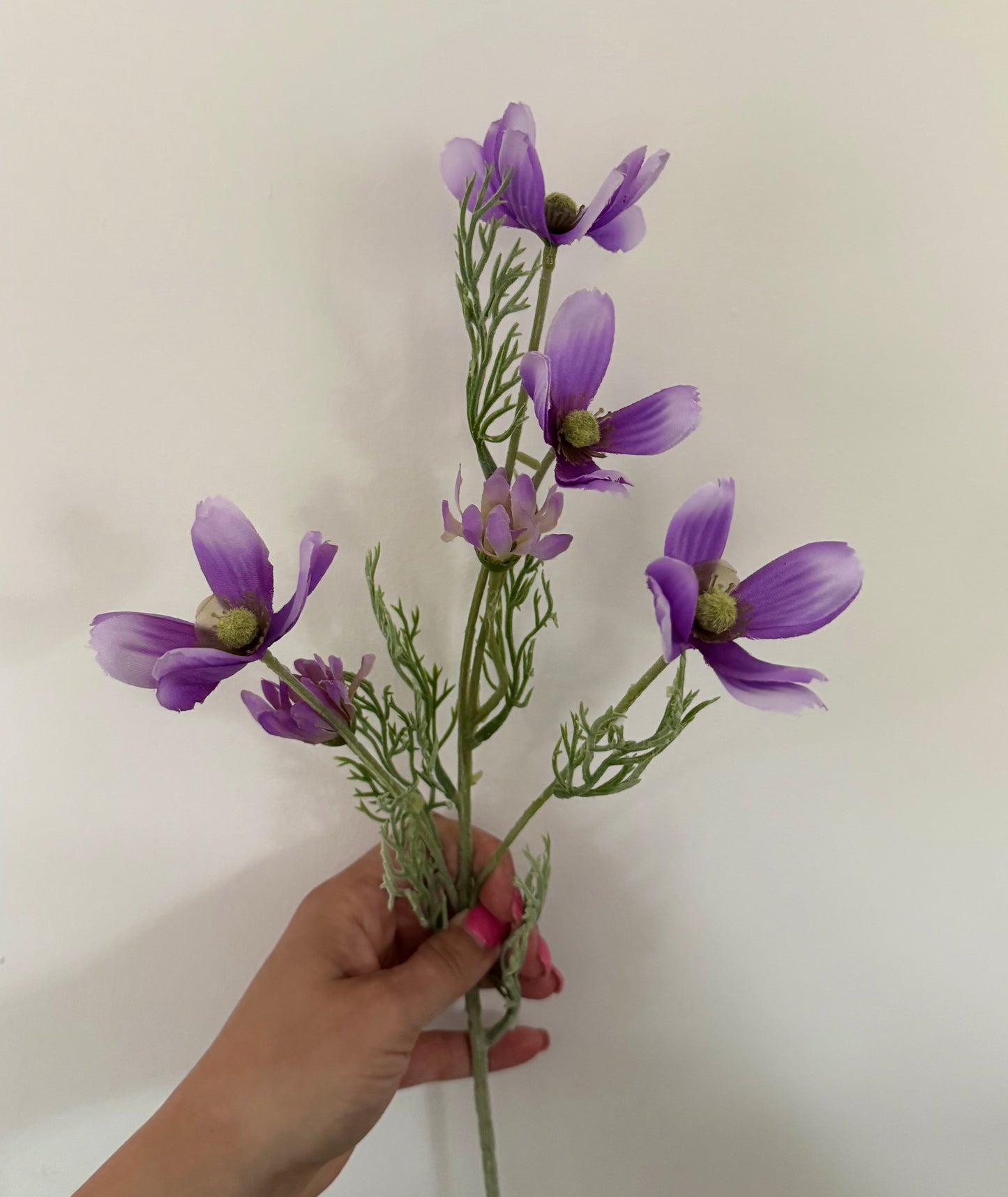 Cosmos Spray (set of 3)