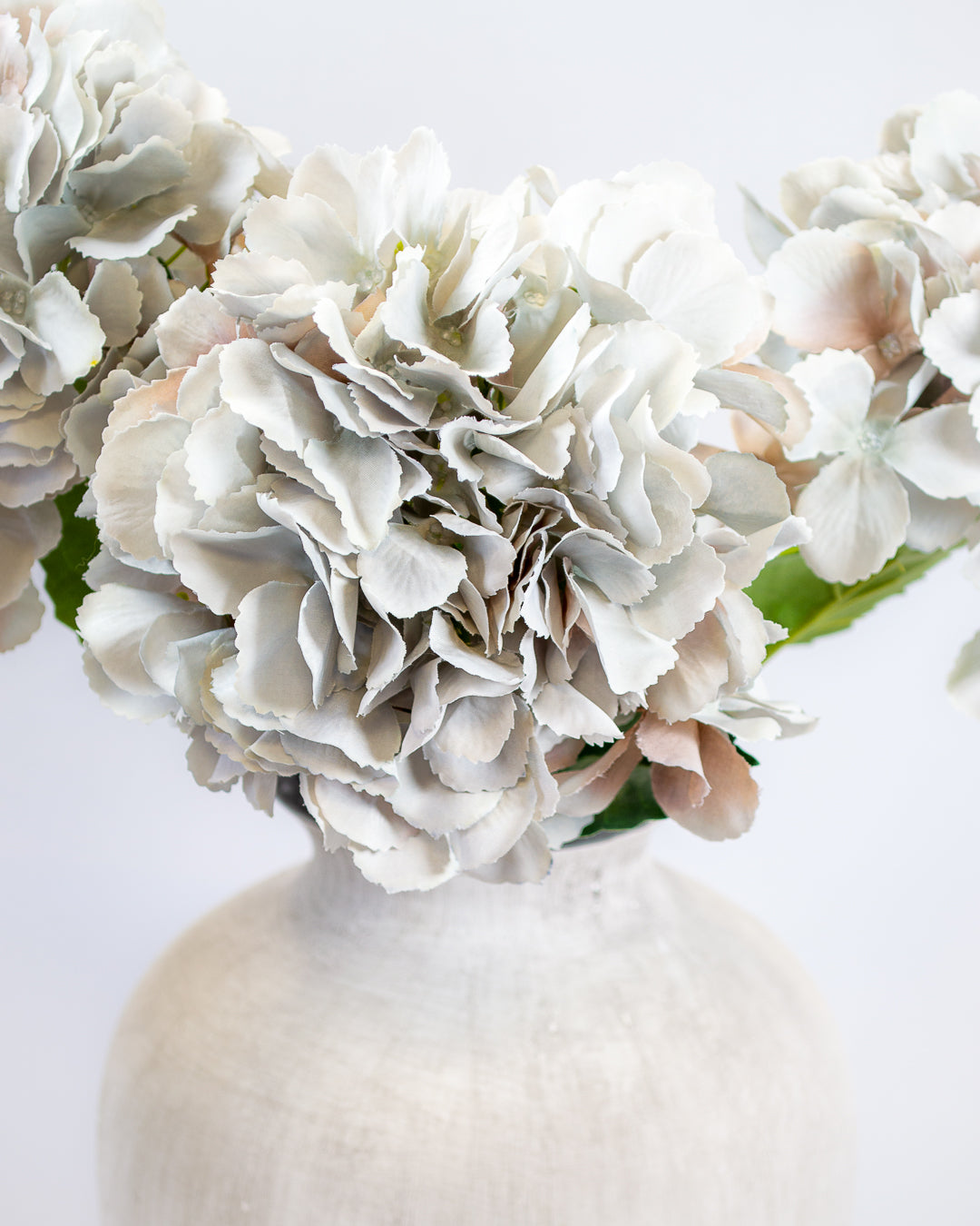 Grey Hydrangea Stem