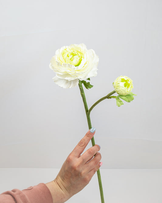 Cream/Green Ranunculus Spray