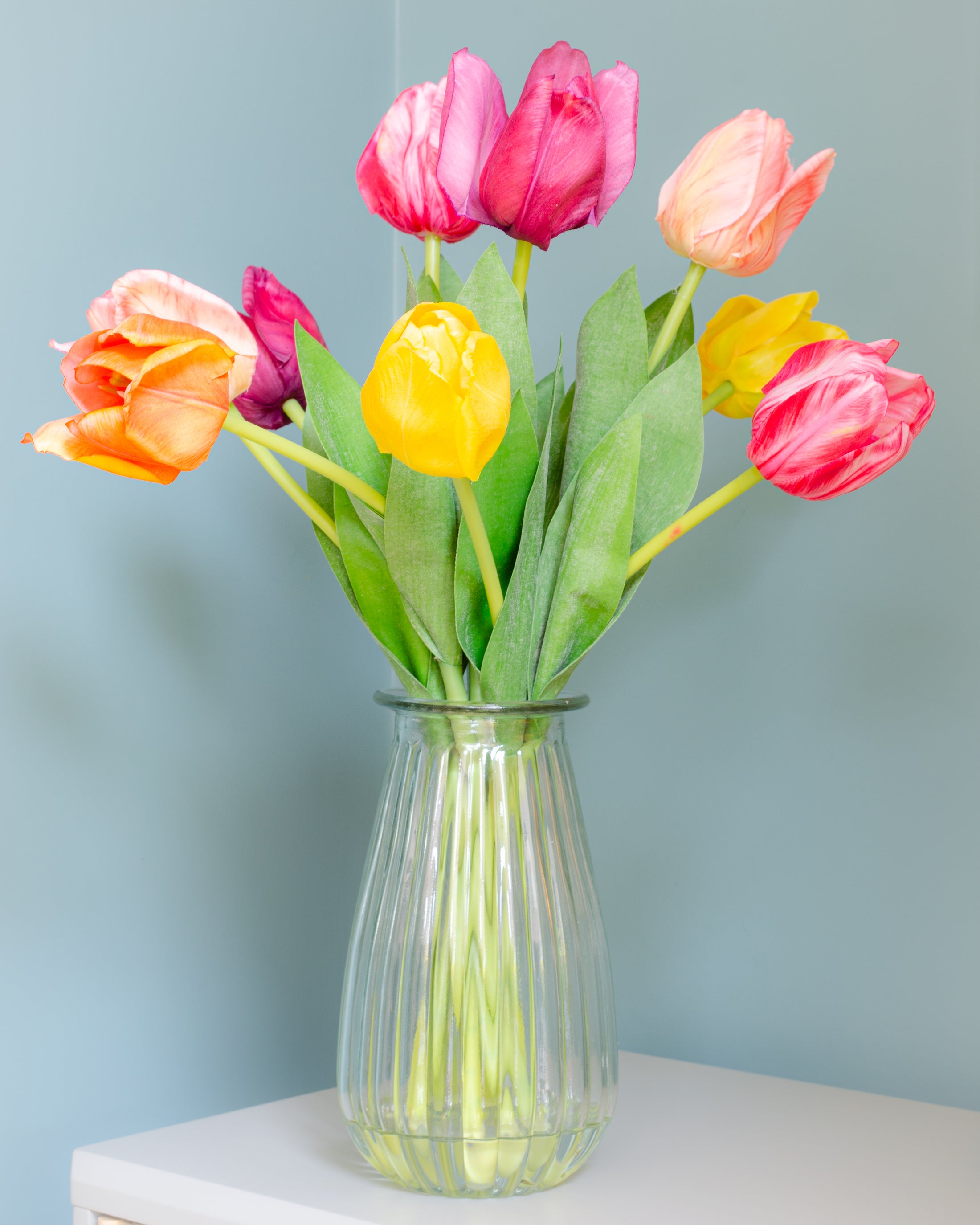 Rainbow of Tulips in Vase