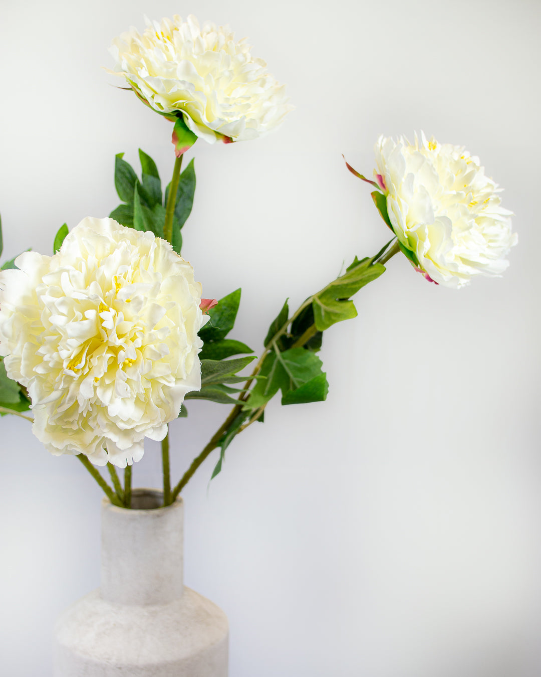 Fluffy White Peony Stem