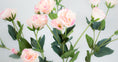 Load image into Gallery viewer, Pale Pink Royal Lisianthus Spray
