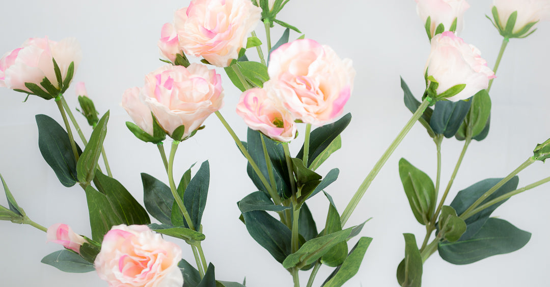 Pale Pink Royal Lisianthus Spray