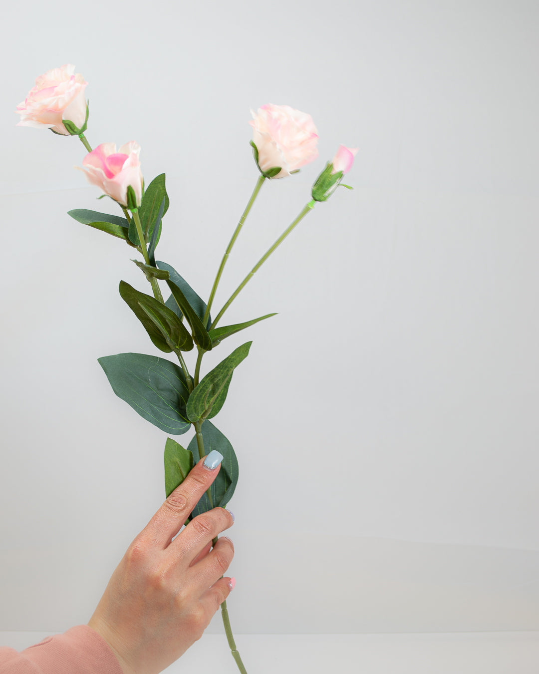 Pale Pink Royal Lisianthus Spray