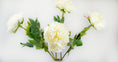 Load image into Gallery viewer, Fluffy White Peony Stem
