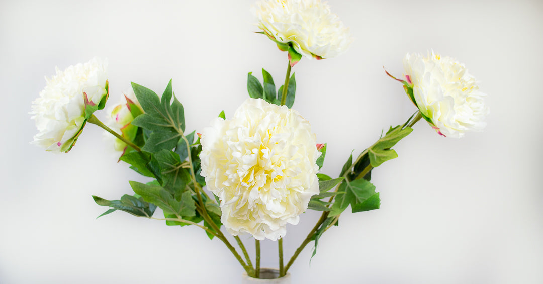 Fluffy White Peony Stem