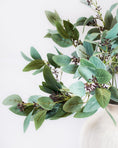 Load image into Gallery viewer, Grey Seeded Eucalyptus Stem
