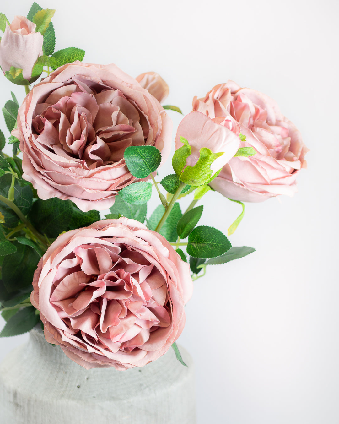 Mauve English Rose Stem