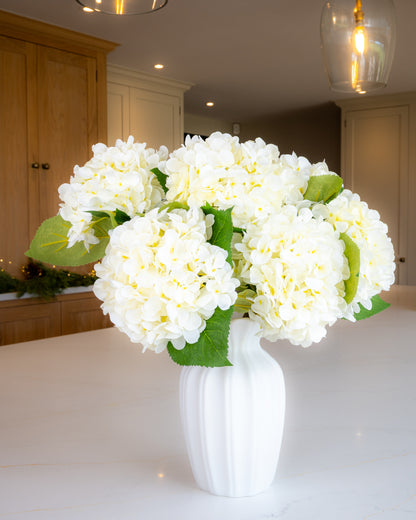 Off- White Winter Hydrangea