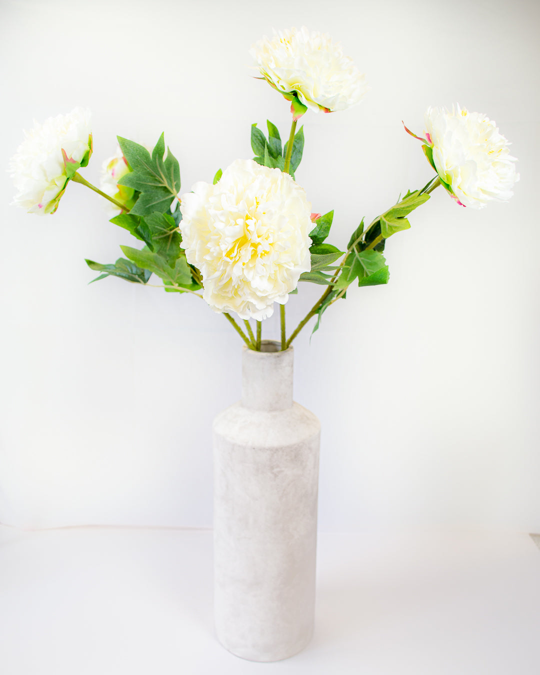 Fluffy White Peony Stem