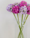 Load image into Gallery viewer, Allium Stem (2 colours)
