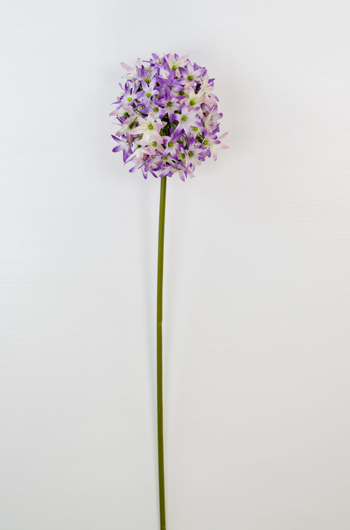 Allium Stem (2 colours)