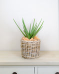 Load image into Gallery viewer, Realistic Artificial Aloe Plant
