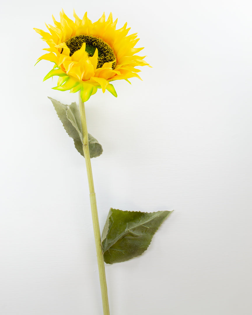 Large Yellow Sunflower Stem