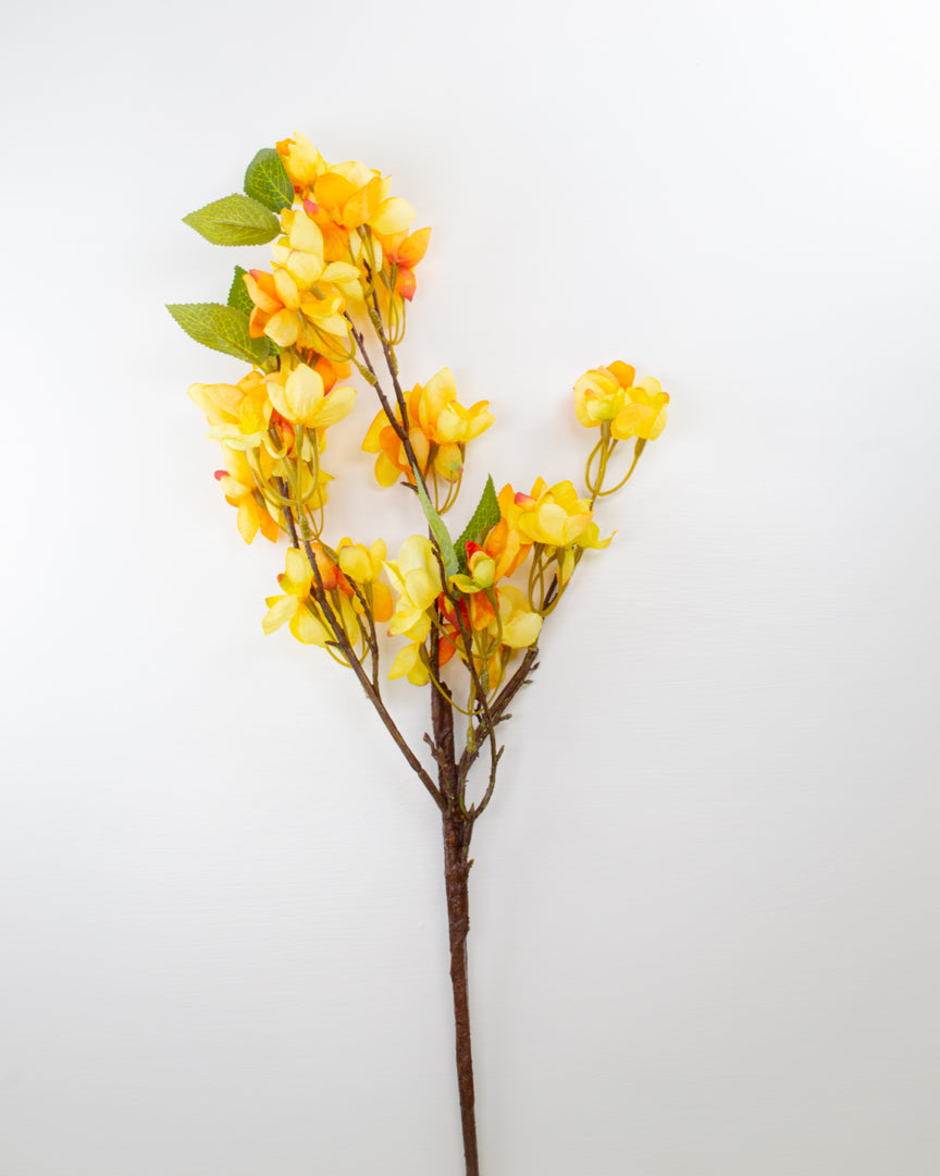 Golden Yellow Autumn Blossom Branch