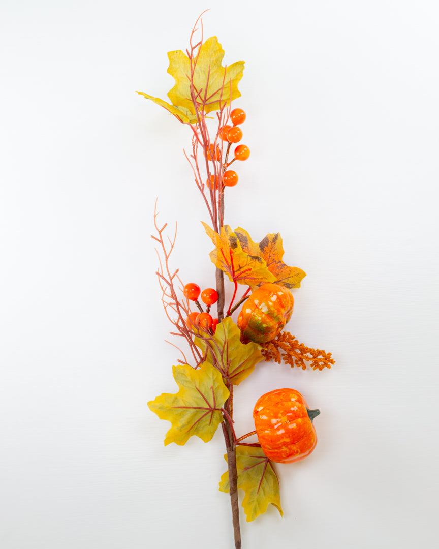 Pumpkin and Leaf Stem