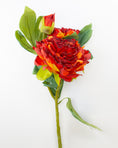 Load image into Gallery viewer, Russet Dried-Touch Peony
