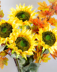 Load image into Gallery viewer, Large Yellow Sunflower Stem
