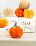 Load image into Gallery viewer, Velvet Pumpkins (bag of 6)
