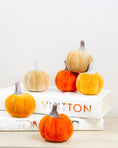 Load image into Gallery viewer, Velvet Pumpkins (bag of 6)
