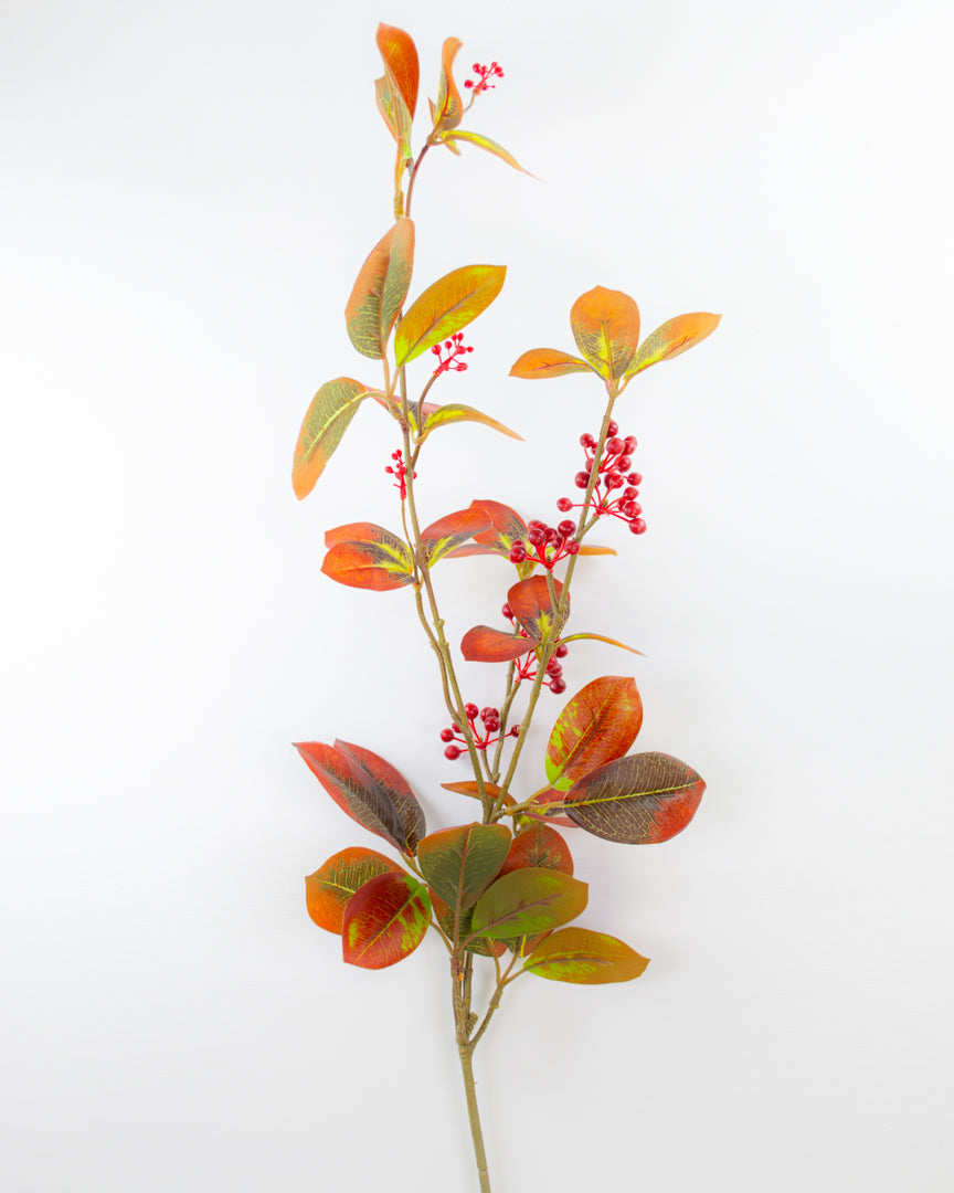 Aronia Berry Stem