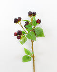 Load image into Gallery viewer, Autumn Blackberry Spray
