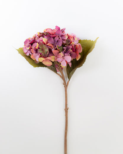 Dried-Look Magenta Hydrangea