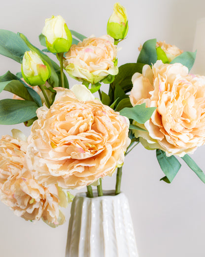 Oyster Dried Touch Peony
