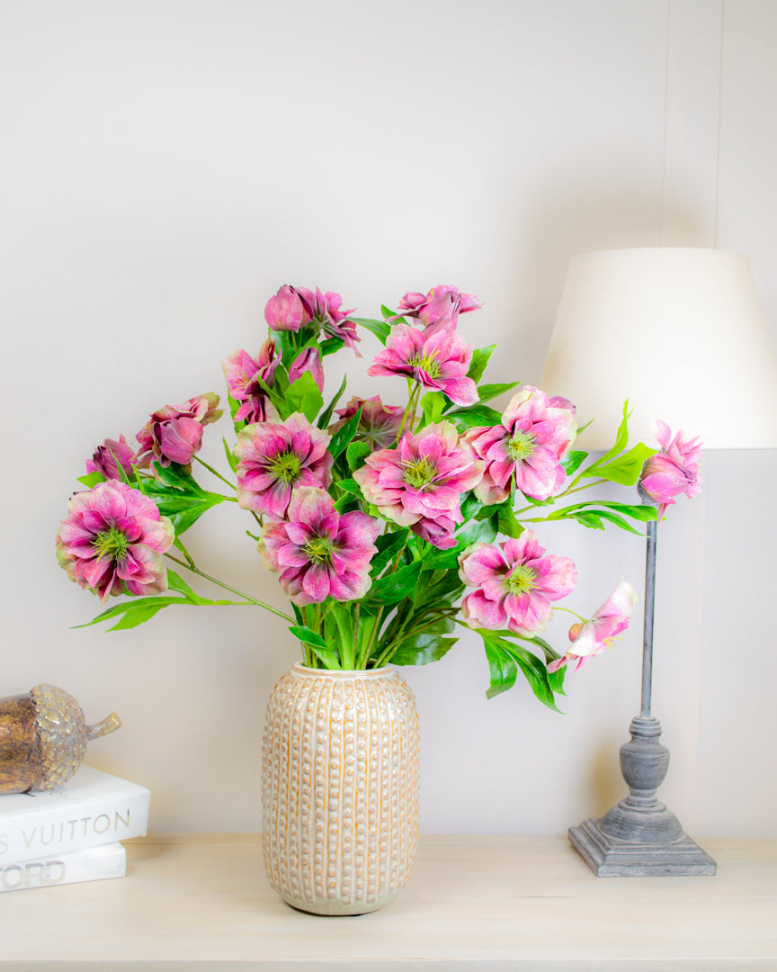 Magenta Hellebore Stem