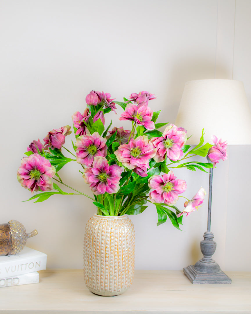 Magenta Hellebore Stem