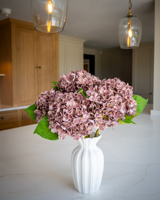 Autumn Mauve Hydrangea