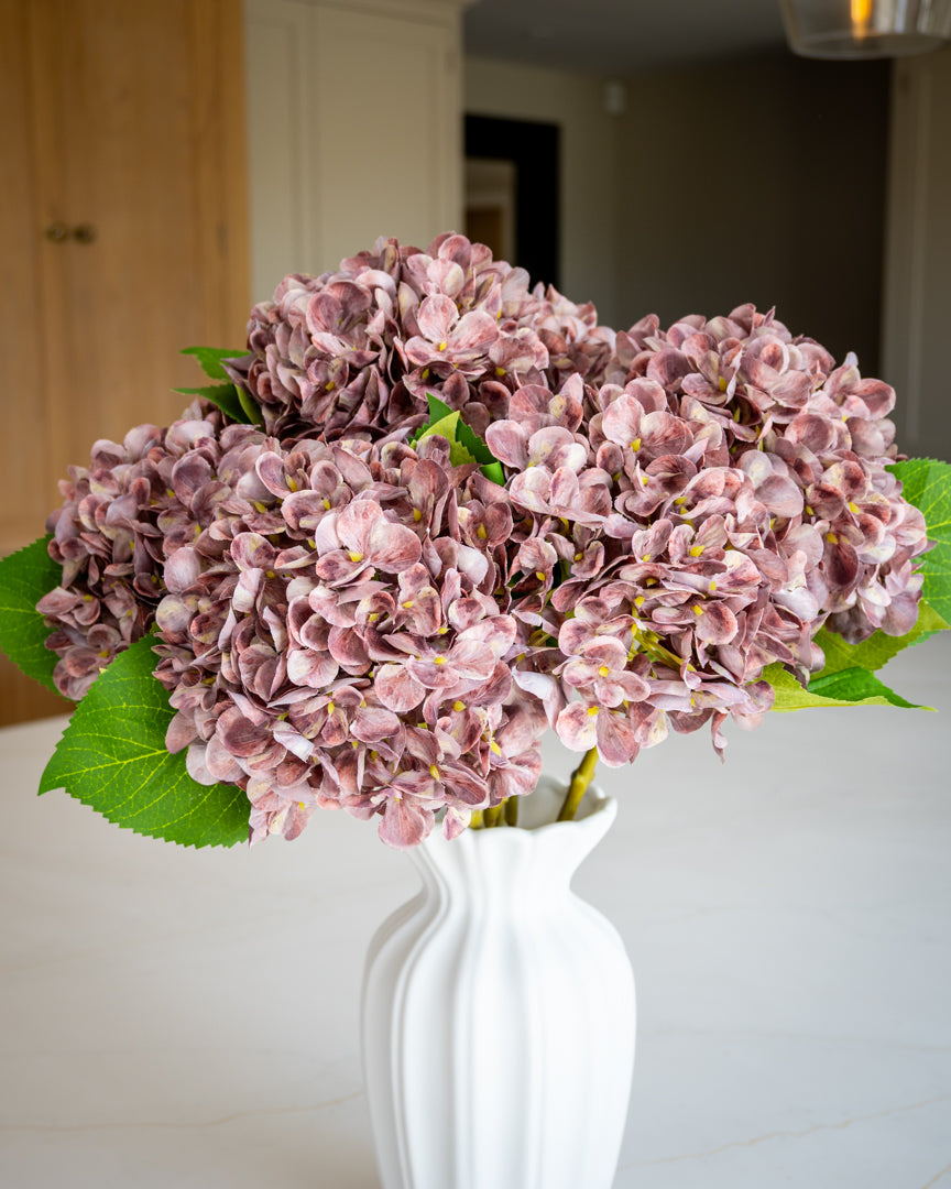Autumn Mauve Hydrangea