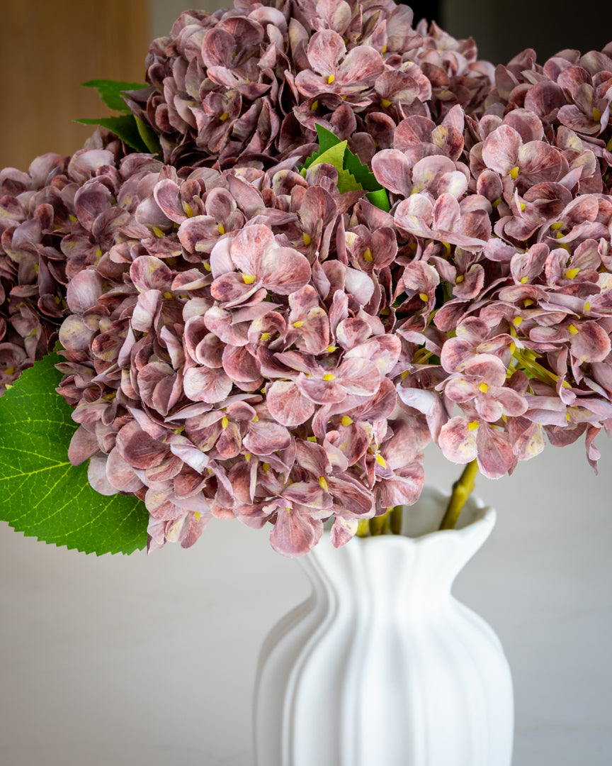 Autumn Mauve Hydrangea