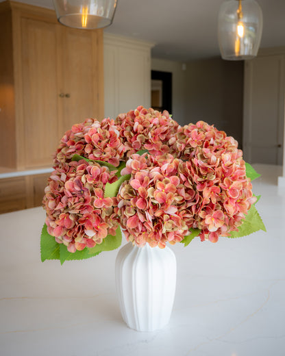 Autumn Red/Green Hydrangea