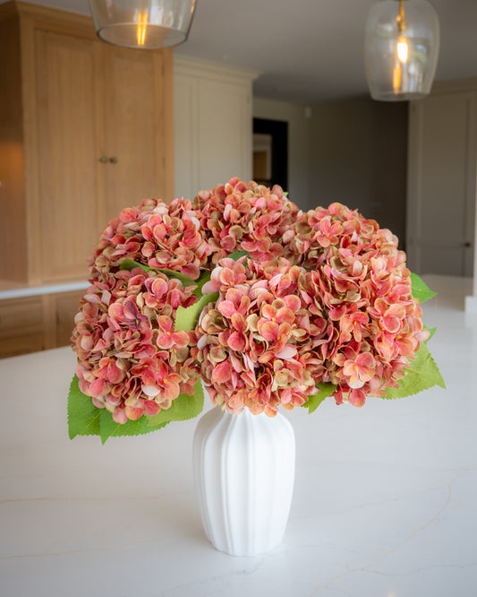Autumn Red/Green Hydrangea