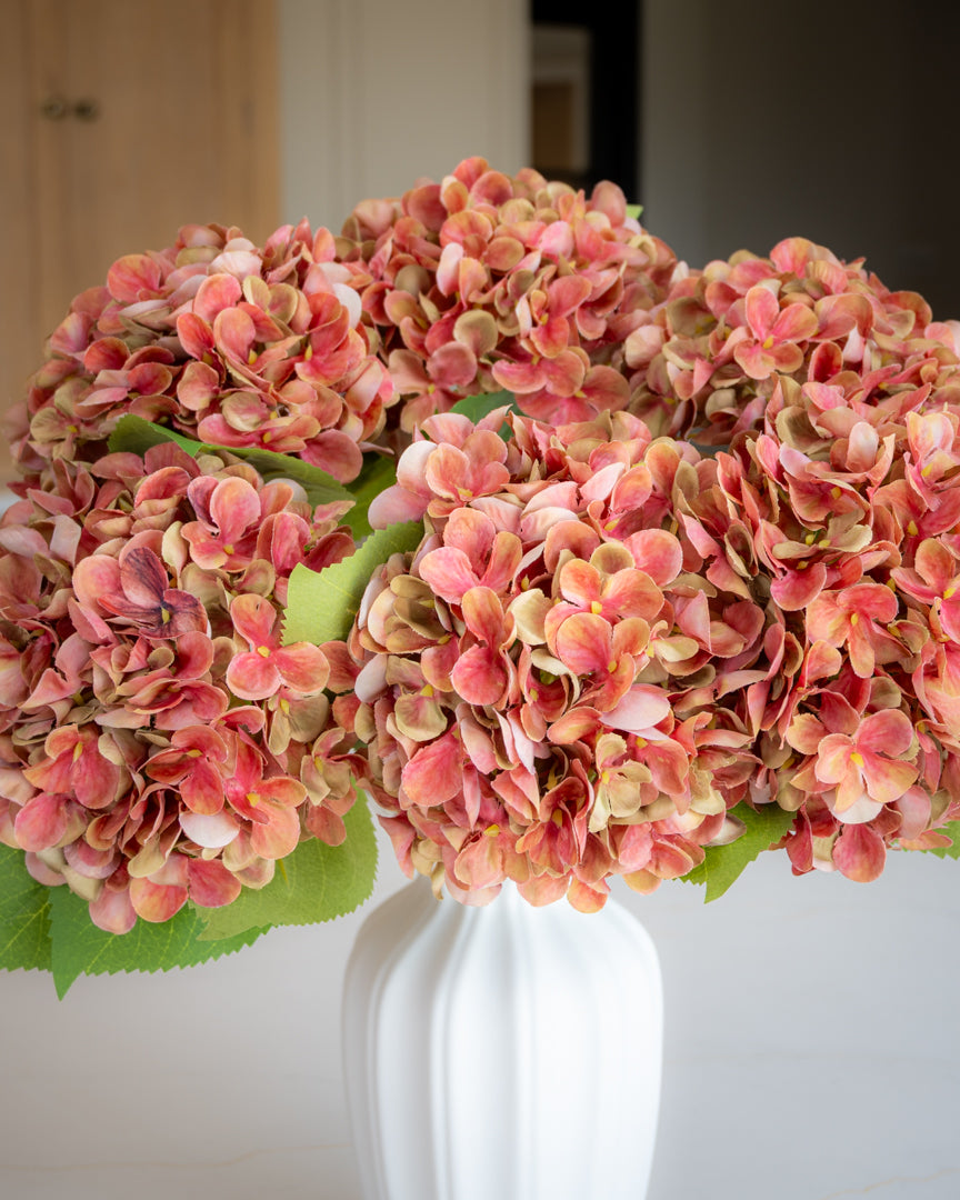 Hydrangea - Red/Green