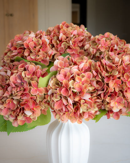 Autumn Red/Green Hydrangea