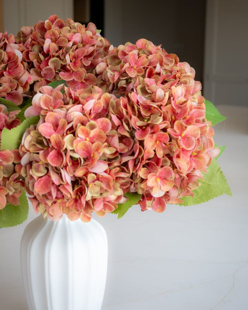 Hydrangea - Red/Green