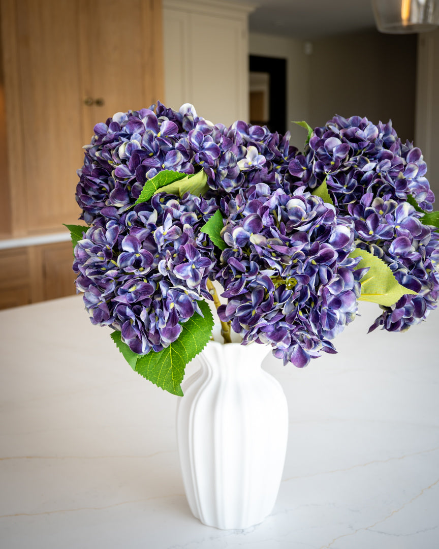 Autumn Mulberry Hydrangea