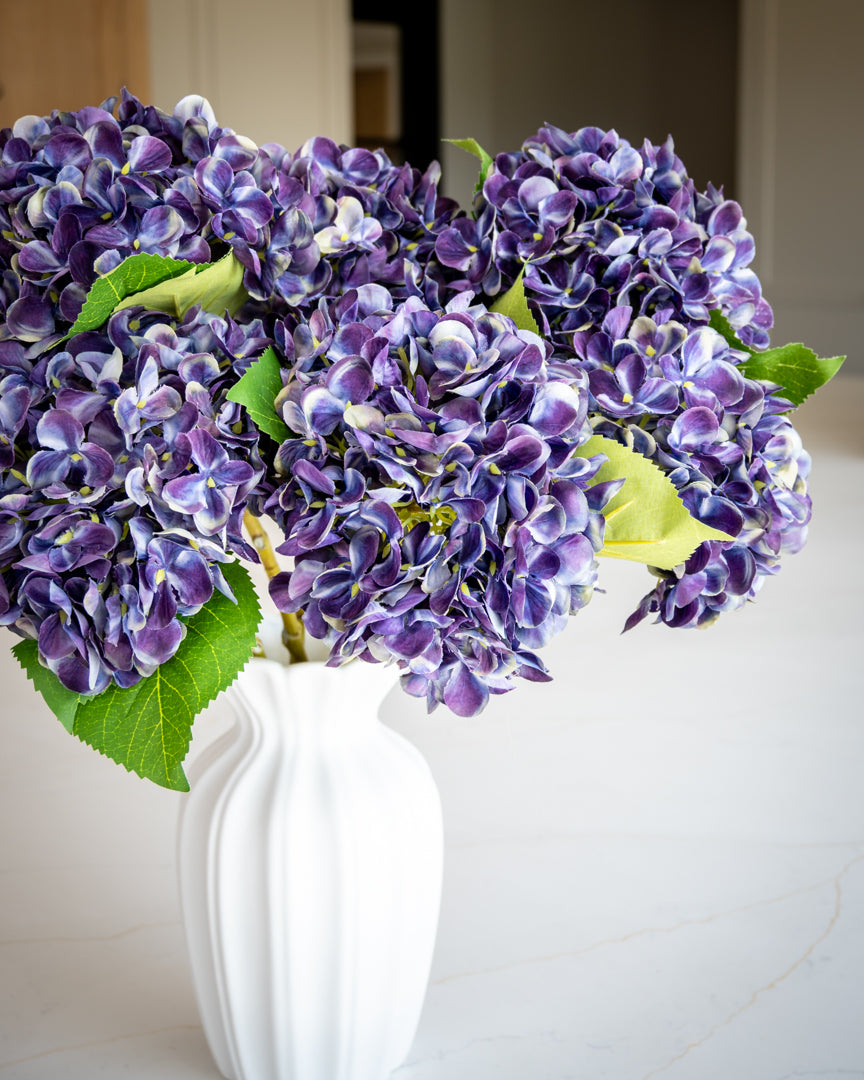 Autumn Mulberry Hydrangea