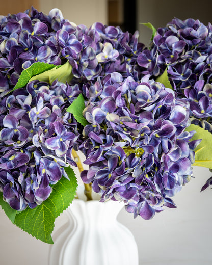 Autumn Mulberry Hydrangea